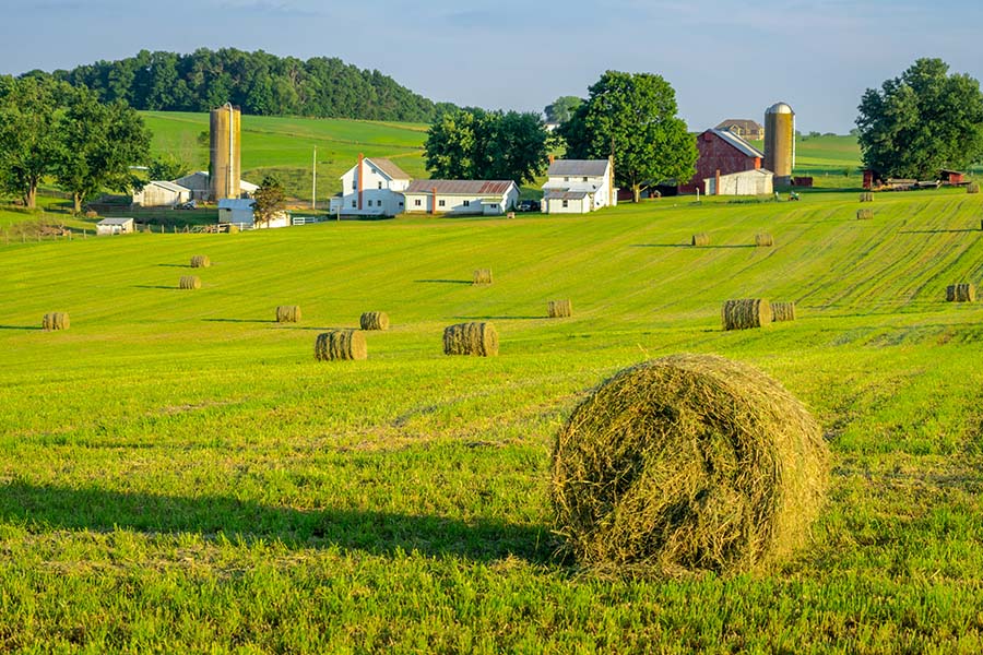 Jackson OH - View of Green Farm Field with Hay Bales and Farm Buildings in the Background in Jackson Ohio